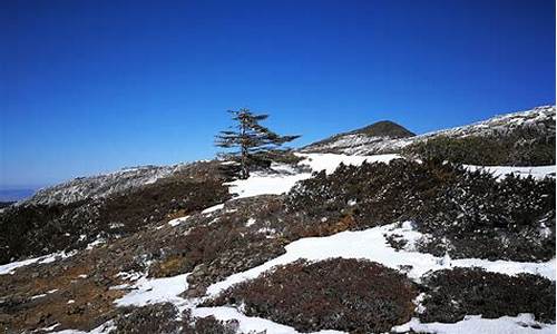 轿子雪山一周天气预报_轿子雪山气预报15天查询