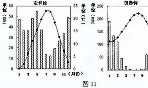 土耳其原始森林气温